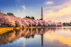 Credit: SeanPavonePhoto | used under iStock Editorial License