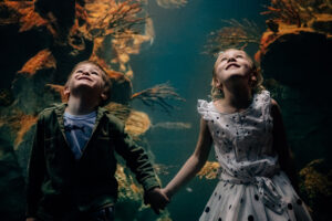Children mesmerized by marine life at the National Aquarium in Baltimore. Arrive stress-free with Peter Pan Bus Lines and enjoy a unique and unforgettable Valentine’s Day experience by the Inner Harbor.